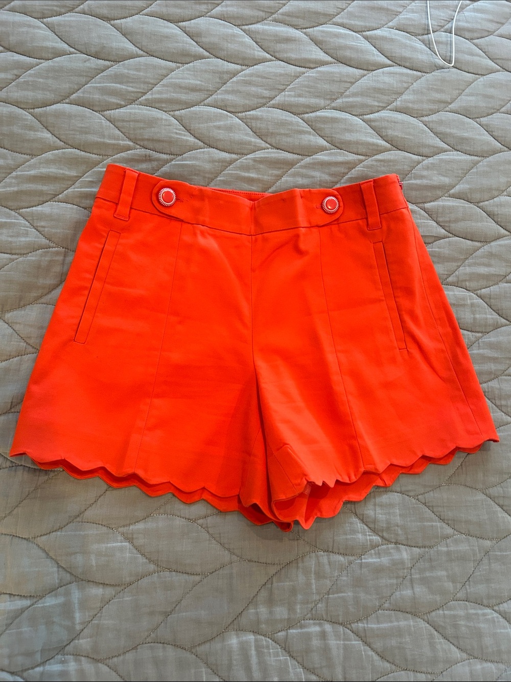 Anthropologie Cartonnier Orange Cotton/Spandex Blend Shorts